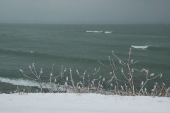 Sandbanks Snowing Winter #1581