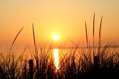 Sandbanks-Sunset-Grass-Tall-3801