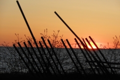 Sandbanks-Sunset-Snowfence-3806