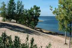 Sandbanks West Lake Dunes #575