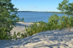 Sandbanks West Lake Dunes Greenery #3620