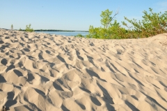 Sandbanks West Lake Sandy #2681