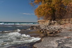 Sandbanks West Pt Shore Fall #3389