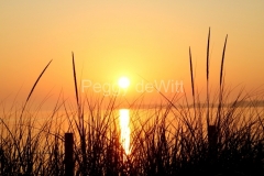 Sandbanks-Sunset-Grass-Tall-3801