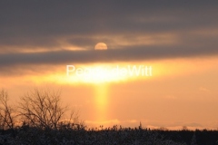 Sky-Sunrise-Winter-2308