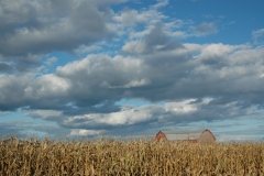 Barn Talbot St Sky #1522