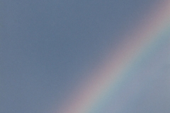 Rainbow #1577