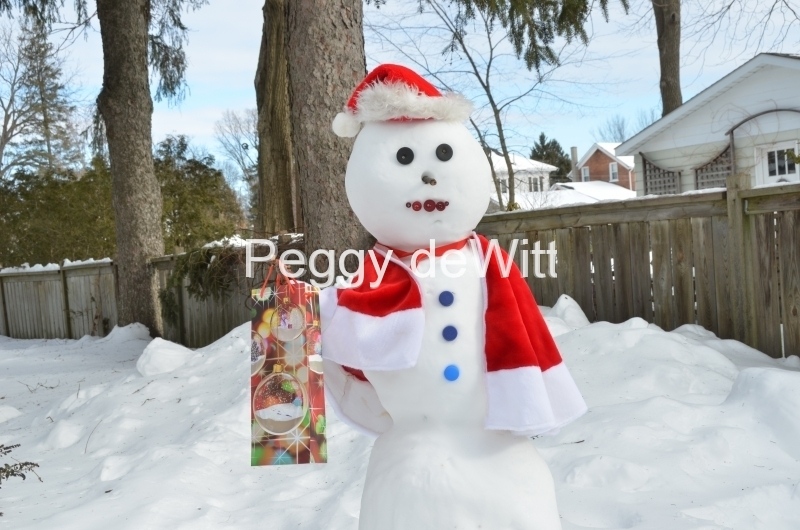 Snowman Christmas Gift #3490