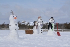 Snowmen-Olaf-3846