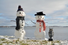 Snowmen-Waupoos-Couple-Owl-3986