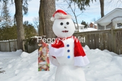 Snowman-Christmas-Gift-3490