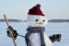 Snowman-Hockey-Closeup-3828