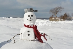 Snowman-Pt-Petre-Pot-3501