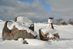 Snowman-Pt-Petre-Rocks-3493
