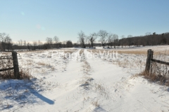 Field-Milford-Winter-3019