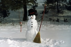 Snowman-Frosty-432
