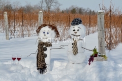 Snowmen-Vineyard-3509