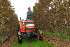 Tractor Apple Orchard Farmer #2698