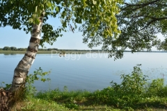 East-Lake-Birch-Boat-3185