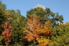 Deseronto Fall Trees #2498