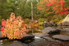 Flinton Fall Scenes #1830