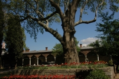 Turkey Istanbul Topkapi Palace #993