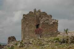 Turkey Pergamum (23) #1016