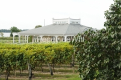 Vineyard-Waupoos-Winery-2716