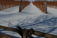 The Grange Fence Winter (v) #2312