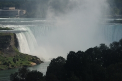 Niagara Falls Trees #2236