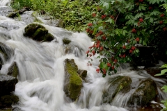 Waterfall Rapids Cape Vessey #3449