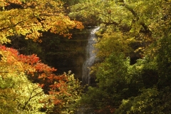Waterfalls Fall #965
