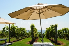 Vineyard-Waupoos-Cider-Co-2714