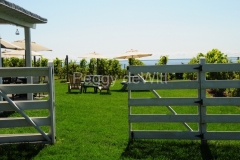 Vineyard-Waupoos-Cider-Co-Fence-2715-s