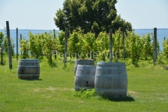 Waupoos-Cider-Co-Barrels-3450