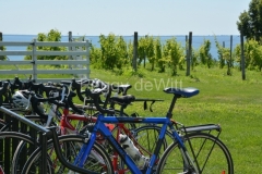 Waupoos-Cider-Co-Bikes-3451