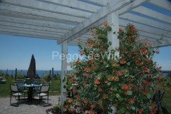 Waupoos-Cider-Co-Flowers-1052