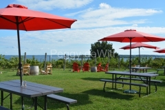 Waupoos-Cider-Co-Patio-3452