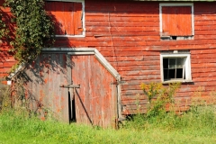 Barn Door McKenzie Lane #2454