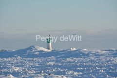 Lighthouse-Wellington-Swans-Winter-3489