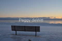 Wellington-Bench-Dark-Winter-3468