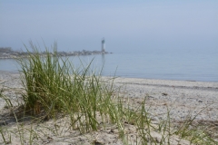 Lighthouse-Wellington-Misty-Grass-3749