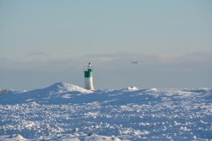 Lighthouse Wellington Swans Winter #3489