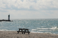 Wellington Beach Picnic Table #3463