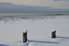 Wellington Beach Posts Winter #3465