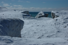 Wellington Beach Snow Winter #1173