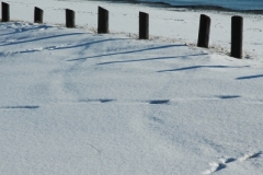 Wellington Beach Winter (v) #695