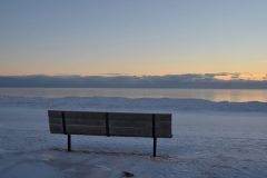 Wellington Bench Dark Winter #3468