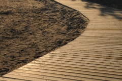 Wellington Boardwalk (v) #1963