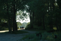 Wellington Park Three People #1965